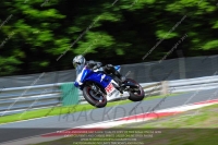 enduro-digital-images;event-digital-images;eventdigitalimages;no-limits-trackdays;oulton-no-limits-trackday;oulton-park-cheshire;oulton-trackday-photographs;peter-wileman-photography;racing-digital-images;trackday-digital-images;trackday-photos