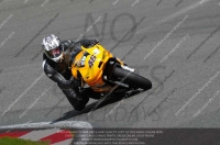 Novice Green/Yellow Bikes