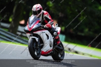 enduro-digital-images;event-digital-images;eventdigitalimages;no-limits-trackdays;oulton-no-limits-trackday;oulton-park-cheshire;oulton-trackday-photographs;peter-wileman-photography;racing-digital-images;trackday-digital-images;trackday-photos
