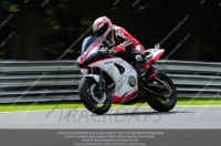 enduro-digital-images;event-digital-images;eventdigitalimages;no-limits-trackdays;oulton-no-limits-trackday;oulton-park-cheshire;oulton-trackday-photographs;peter-wileman-photography;racing-digital-images;trackday-digital-images;trackday-photos