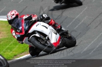 enduro-digital-images;event-digital-images;eventdigitalimages;no-limits-trackdays;oulton-no-limits-trackday;oulton-park-cheshire;oulton-trackday-photographs;peter-wileman-photography;racing-digital-images;trackday-digital-images;trackday-photos