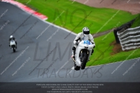 anglesey;brands-hatch;cadwell-park;croft;donington-park;enduro-digital-images;event-digital-images;eventdigitalimages;mallory;no-limits;oulton-park;peter-wileman-photography;racing-digital-images;silverstone;snetterton;trackday-digital-images;trackday-photos;vmcc-banbury-run;welsh-2-day-enduro