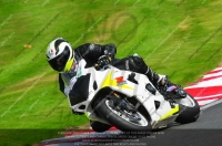 anglesey;brands-hatch;cadwell-park;croft;donington-park;enduro-digital-images;event-digital-images;eventdigitalimages;mallory;no-limits;oulton-park;peter-wileman-photography;racing-digital-images;silverstone;snetterton;trackday-digital-images;trackday-photos;vmcc-banbury-run;welsh-2-day-enduro