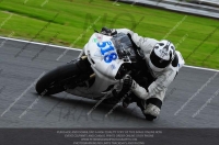 Fast Blue/White Bikes
