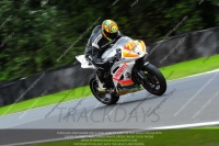 anglesey;brands-hatch;cadwell-park;croft;donington-park;enduro-digital-images;event-digital-images;eventdigitalimages;mallory;no-limits;oulton-park;peter-wileman-photography;racing-digital-images;silverstone;snetterton;trackday-digital-images;trackday-photos;vmcc-banbury-run;welsh-2-day-enduro