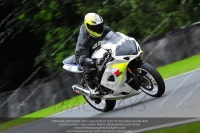 anglesey;brands-hatch;cadwell-park;croft;donington-park;enduro-digital-images;event-digital-images;eventdigitalimages;mallory;no-limits;oulton-park;peter-wileman-photography;racing-digital-images;silverstone;snetterton;trackday-digital-images;trackday-photos;vmcc-banbury-run;welsh-2-day-enduro