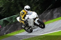 anglesey;brands-hatch;cadwell-park;croft;donington-park;enduro-digital-images;event-digital-images;eventdigitalimages;mallory;no-limits;oulton-park;peter-wileman-photography;racing-digital-images;silverstone;snetterton;trackday-digital-images;trackday-photos;vmcc-banbury-run;welsh-2-day-enduro