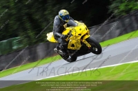 anglesey;brands-hatch;cadwell-park;croft;donington-park;enduro-digital-images;event-digital-images;eventdigitalimages;mallory;no-limits;oulton-park;peter-wileman-photography;racing-digital-images;silverstone;snetterton;trackday-digital-images;trackday-photos;vmcc-banbury-run;welsh-2-day-enduro