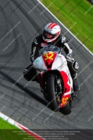 anglesey;brands-hatch;cadwell-park;croft;donington-park;enduro-digital-images;event-digital-images;eventdigitalimages;mallory;no-limits;oulton-park;peter-wileman-photography;racing-digital-images;silverstone;snetterton;trackday-digital-images;trackday-photos;vmcc-banbury-run;welsh-2-day-enduro