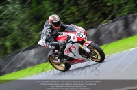 anglesey;brands-hatch;cadwell-park;croft;donington-park;enduro-digital-images;event-digital-images;eventdigitalimages;mallory;no-limits;oulton-park;peter-wileman-photography;racing-digital-images;silverstone;snetterton;trackday-digital-images;trackday-photos;vmcc-banbury-run;welsh-2-day-enduro