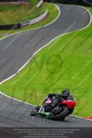 anglesey;brands-hatch;cadwell-park;croft;donington-park;enduro-digital-images;event-digital-images;eventdigitalimages;mallory;no-limits;oulton-park;peter-wileman-photography;racing-digital-images;silverstone;snetterton;trackday-digital-images;trackday-photos;vmcc-banbury-run;welsh-2-day-enduro