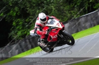 anglesey;brands-hatch;cadwell-park;croft;donington-park;enduro-digital-images;event-digital-images;eventdigitalimages;mallory;no-limits;oulton-park;peter-wileman-photography;racing-digital-images;silverstone;snetterton;trackday-digital-images;trackday-photos;vmcc-banbury-run;welsh-2-day-enduro