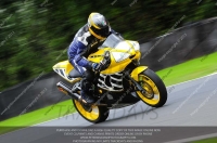 anglesey;brands-hatch;cadwell-park;croft;donington-park;enduro-digital-images;event-digital-images;eventdigitalimages;mallory;no-limits;oulton-park;peter-wileman-photography;racing-digital-images;silverstone;snetterton;trackday-digital-images;trackday-photos;vmcc-banbury-run;welsh-2-day-enduro