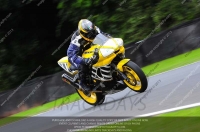 anglesey;brands-hatch;cadwell-park;croft;donington-park;enduro-digital-images;event-digital-images;eventdigitalimages;mallory;no-limits;oulton-park;peter-wileman-photography;racing-digital-images;silverstone;snetterton;trackday-digital-images;trackday-photos;vmcc-banbury-run;welsh-2-day-enduro