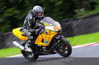 anglesey;brands-hatch;cadwell-park;croft;donington-park;enduro-digital-images;event-digital-images;eventdigitalimages;mallory;no-limits;oulton-park;peter-wileman-photography;racing-digital-images;silverstone;snetterton;trackday-digital-images;trackday-photos;vmcc-banbury-run;welsh-2-day-enduro