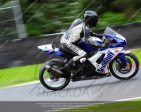 anglesey;brands-hatch;cadwell-park;croft;donington-park;enduro-digital-images;event-digital-images;eventdigitalimages;mallory;no-limits;oulton-park;peter-wileman-photography;racing-digital-images;silverstone;snetterton;trackday-digital-images;trackday-photos;vmcc-banbury-run;welsh-2-day-enduro