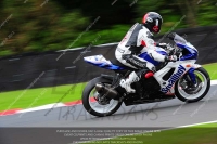 anglesey;brands-hatch;cadwell-park;croft;donington-park;enduro-digital-images;event-digital-images;eventdigitalimages;mallory;no-limits;oulton-park;peter-wileman-photography;racing-digital-images;silverstone;snetterton;trackday-digital-images;trackday-photos;vmcc-banbury-run;welsh-2-day-enduro