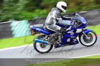 anglesey;brands-hatch;cadwell-park;croft;donington-park;enduro-digital-images;event-digital-images;eventdigitalimages;mallory;no-limits;oulton-park;peter-wileman-photography;racing-digital-images;silverstone;snetterton;trackday-digital-images;trackday-photos;vmcc-banbury-run;welsh-2-day-enduro