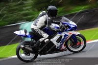 anglesey;brands-hatch;cadwell-park;croft;donington-park;enduro-digital-images;event-digital-images;eventdigitalimages;mallory;no-limits;oulton-park;peter-wileman-photography;racing-digital-images;silverstone;snetterton;trackday-digital-images;trackday-photos;vmcc-banbury-run;welsh-2-day-enduro