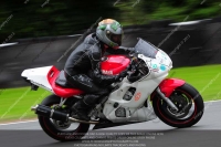 anglesey;brands-hatch;cadwell-park;croft;donington-park;enduro-digital-images;event-digital-images;eventdigitalimages;mallory;no-limits;oulton-park;peter-wileman-photography;racing-digital-images;silverstone;snetterton;trackday-digital-images;trackday-photos;vmcc-banbury-run;welsh-2-day-enduro
