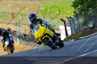 brands-hatch-photographs;brands-no-limits-trackday;cadwell-trackday-photographs;enduro-digital-images;event-digital-images;eventdigitalimages;no-limits-trackdays;peter-wileman-photography;racing-digital-images;trackday-digital-images;trackday-photos