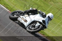 Inter Blue/White Bikes