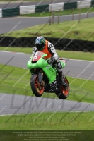 Endurance Race Green/Yellow Bikes