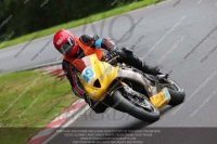 Endurance Race Green/Yellow Bikes