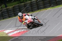 Endurance Race Multicolour Bikes