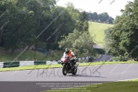 Newcomer 1000cc Racing Black/Silver Bikes