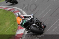 Newcomer 1000cc Racing Black/Silver Bikes
