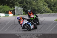 Newcomer 1000cc Racing Blue/White Bikes