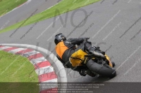 Newcomer 1000cc Racing Green/Yellow Bikes