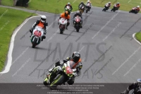 Newcomer 1000cc Racing Multicolour Bikes