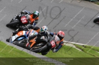 Newcomer 1000cc Racing Multicolour Bikes