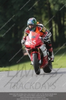 Newcomer 1000cc Racing Red/Orange Bikes