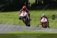 Newcomer 1000cc Racing Red/Orange Bikes