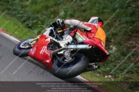 Newcomer 1000cc Racing Red/Orange Bikes