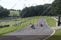 Newcomer 600cc Racing Multicolour Bikes