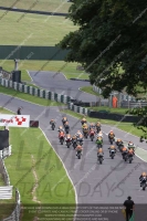 Newcomer 600cc Racing Multicolour Bikes
