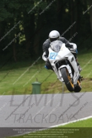 Open Race Blue/White Bikes