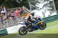 Open Race Blue/White Bikes