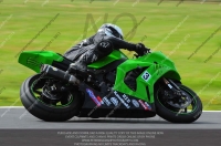 FAST GREEN/YELLOW BIKES