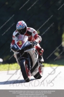 Inter Multicolour Bikes