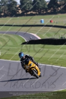 Novice Green/Yellow Bikes