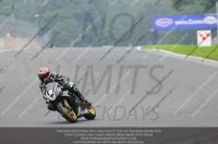 enduro-digital-images;event-digital-images;eventdigitalimages;no-limits-trackdays;oulton-no-limits-trackday;oulton-park-cheshire;oulton-trackday-photographs;peter-wileman-photography;racing-digital-images;trackday-digital-images;trackday-photos