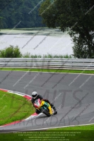 FAST GREEN/YELLOW BIKES