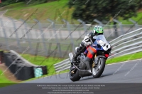 enduro-digital-images;event-digital-images;eventdigitalimages;no-limits-trackdays;oulton-no-limits-trackday;oulton-park-cheshire;oulton-trackday-photographs;peter-wileman-photography;racing-digital-images;trackday-digital-images;trackday-photos