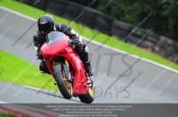 enduro-digital-images;event-digital-images;eventdigitalimages;no-limits-trackdays;oulton-no-limits-trackday;oulton-park-cheshire;oulton-trackday-photographs;peter-wileman-photography;racing-digital-images;trackday-digital-images;trackday-photos
