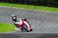 enduro-digital-images;event-digital-images;eventdigitalimages;no-limits-trackdays;oulton-no-limits-trackday;oulton-park-cheshire;oulton-trackday-photographs;peter-wileman-photography;racing-digital-images;trackday-digital-images;trackday-photos